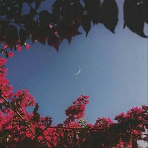 Meet your Posher, India